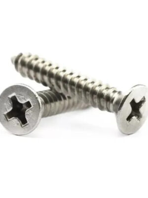 parafuso auto atarraxante phillips chata 4.2x32 inox belenus