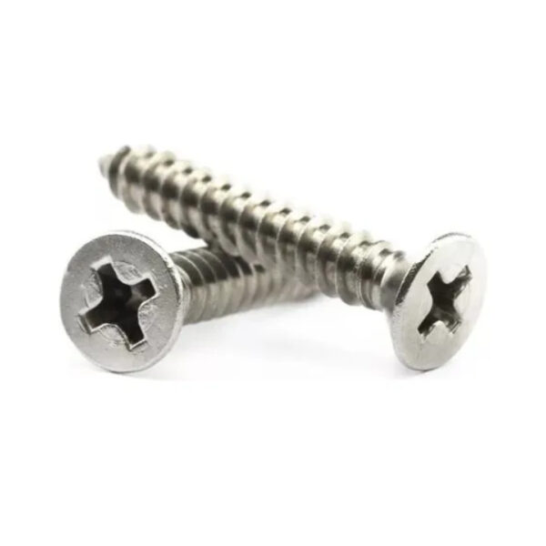 parafuso auto atarraxante phillips chata 4.2x32 inox belenus